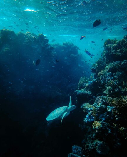 Screenshot_20260415-234325_Google