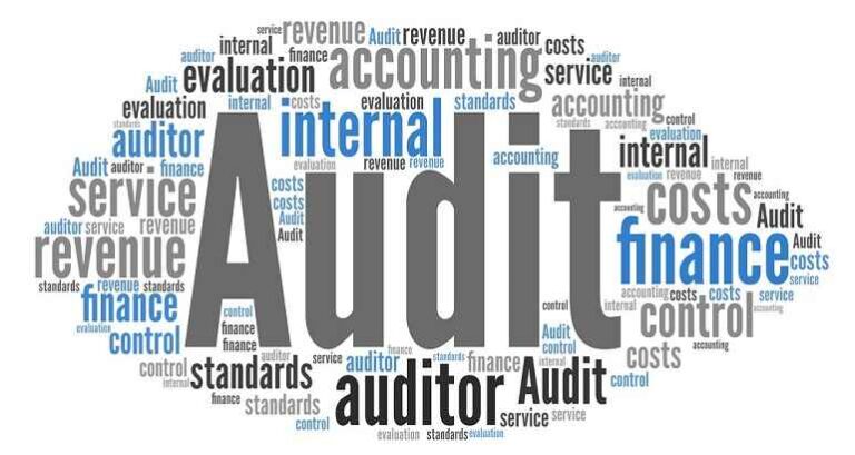 21UDM508-FINANCIAL AUDITING