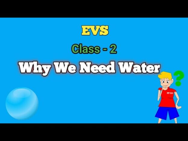 EVS – Grade 2 – Lesson 4