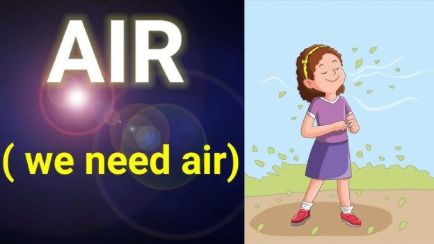 EVS – Grade 2 – Lesson 7