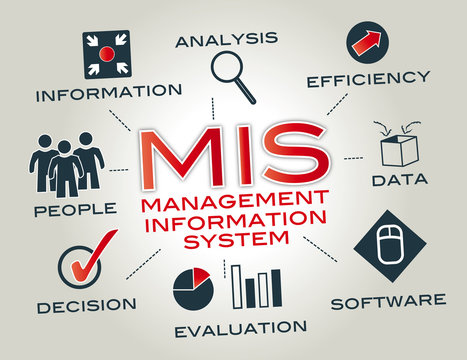 MANAGEMENT INFORMATION SYSTEM