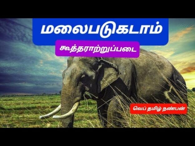 சங்க இலக்கியம், நாடகம், இலக்கணம், இலக்கிய வரலாறு