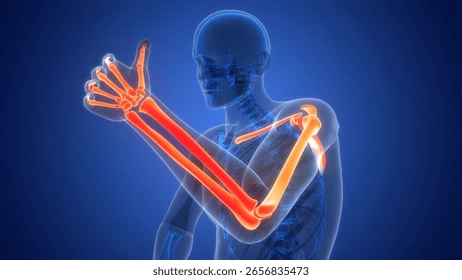 ANATOMY -1